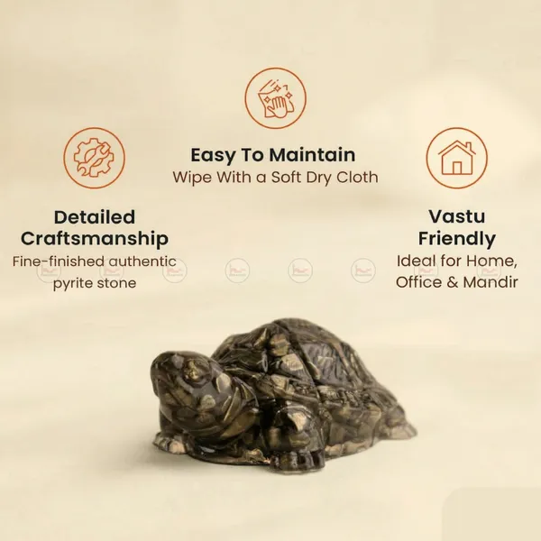 Pyrite_Tortoise