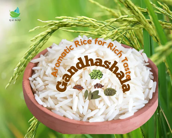 Gandhashala_Rice