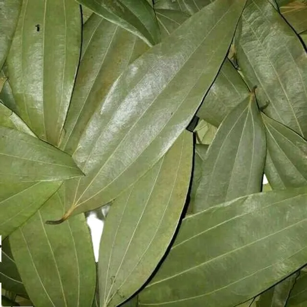Bay_Leaf_Whole