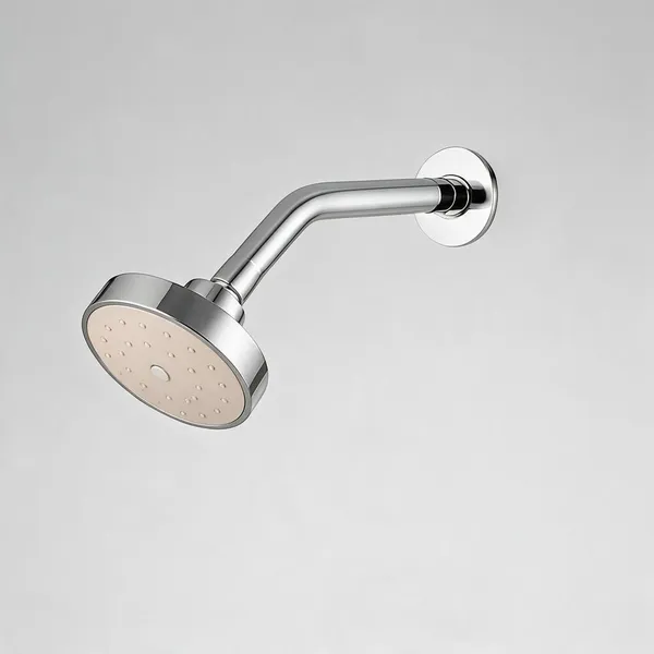 Silver_Stainless_Steel_Wall_Mounted_Shower_Head_For_Bathroom_Pack_Of_2