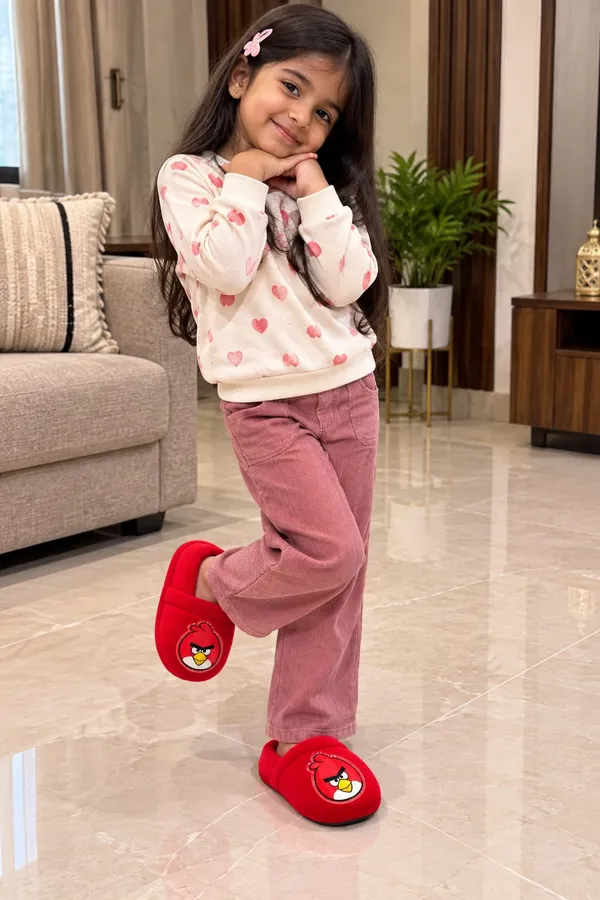 ANGRt_bird_rkids_indoor_shoes_red