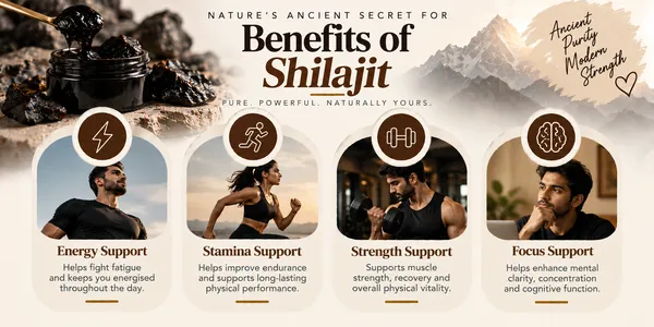 Kashmiri_Shilajit