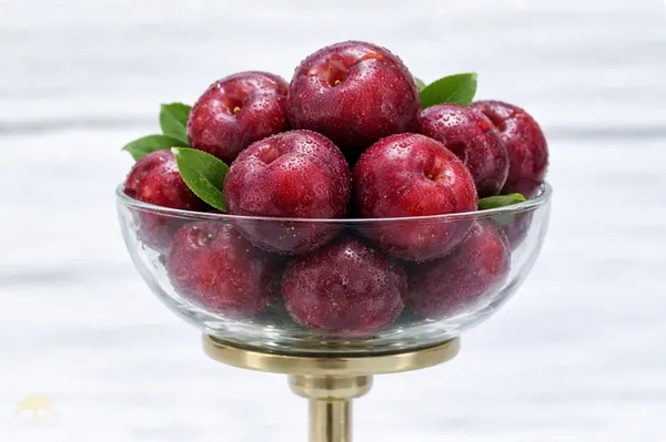 Red_Plum