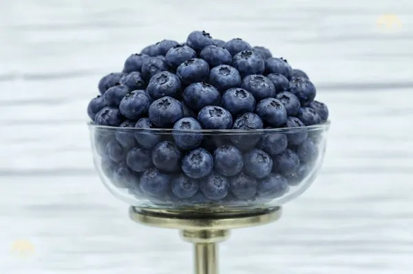 Blue_Berry_Premium