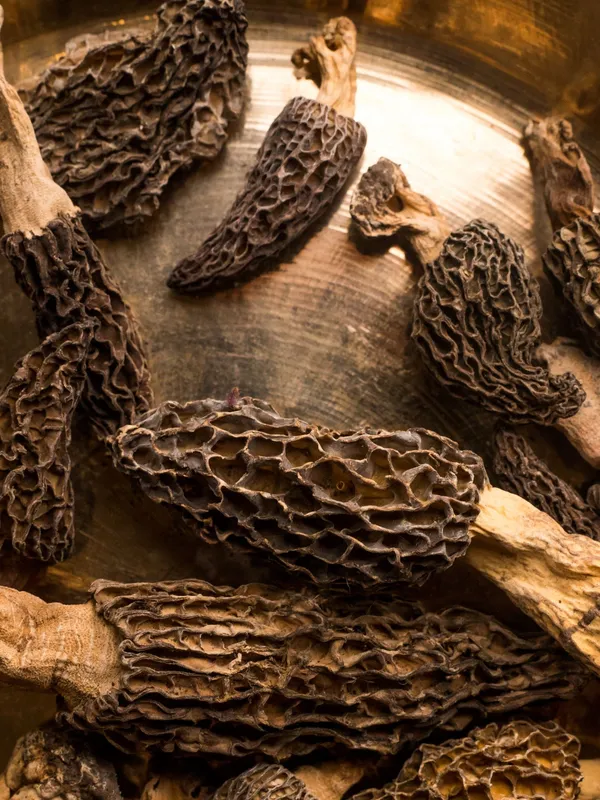 Aswah_Organic_Dried_Morel_Mushrooms_25g