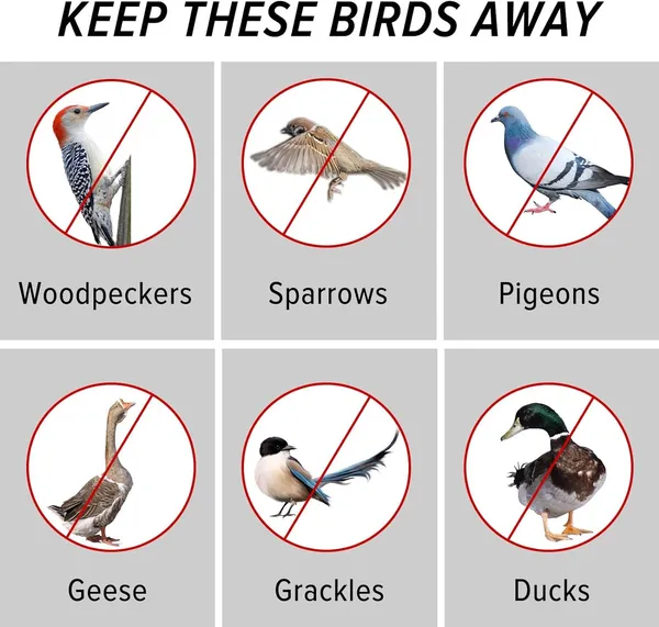 Bird_Deterrent_Reflective_Tape