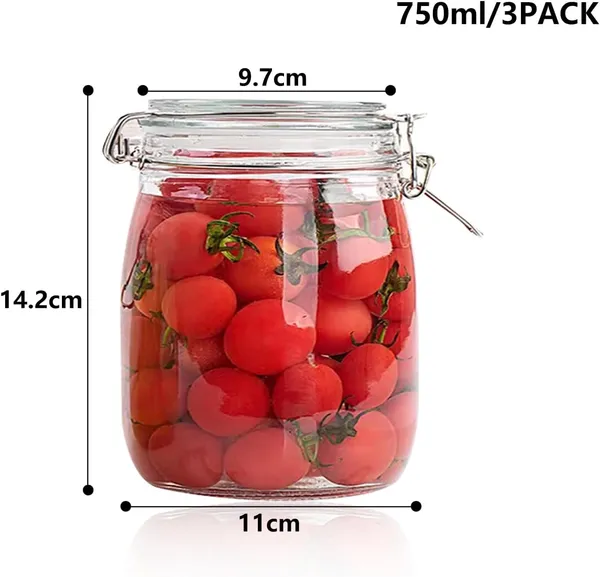 Glass_Kitchen_Storage_Canister_With_Hinged_Lid