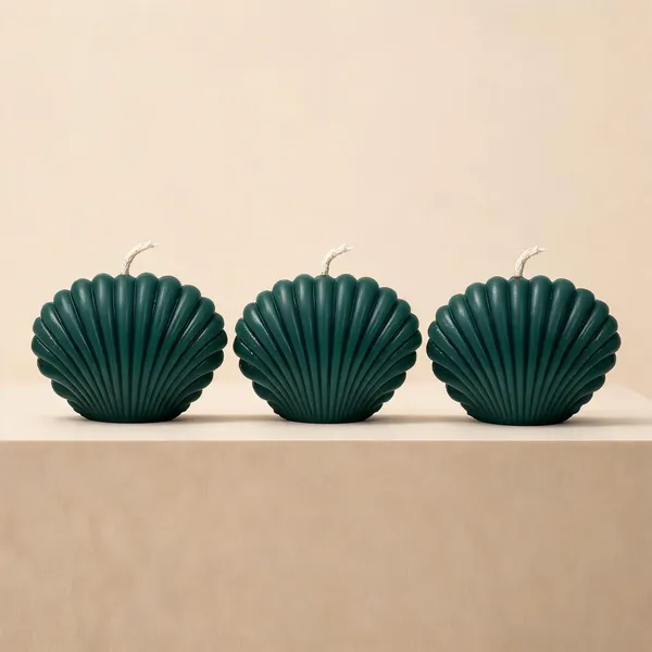 Shell_Candle_Pack_Of_3
