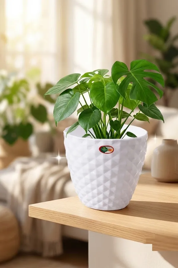 6_Inch_15_Cm_Kohinoor_Round_Planter_Set_Of_8_White_Plastic_Pots_For_Home_Garden_Office_Decor_Default_Title