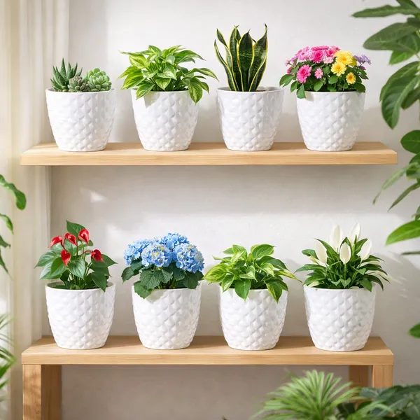 6_Inch_15_Cm_Kohinoor_Round_Planter_Set_Of_8_White_Plastic_Pots_For_Home_Garden_Office_Decor_Default_Title