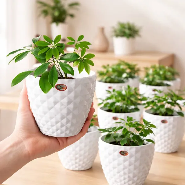 6_Inch_15_Cm_Kohinoor_Round_Planter_Set_Of_8_White_Plastic_Pots_For_Home_Garden_Office_Decor_Default_Title