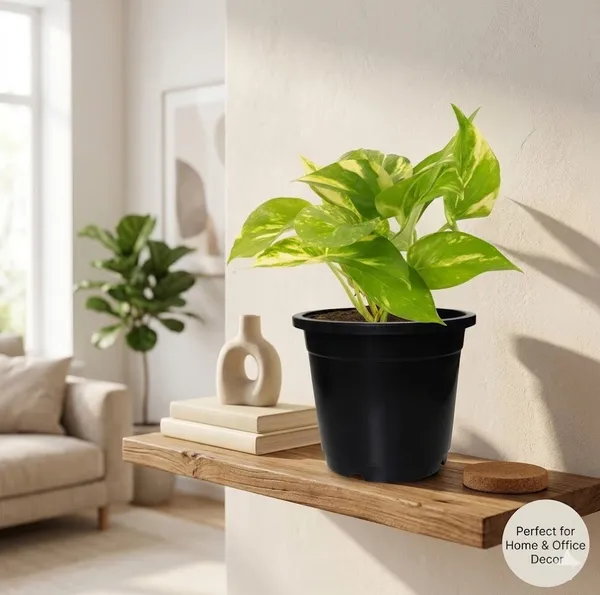 5_5_Inch_14_Cm_Nursery_Planter_Uv_Resistant_Lightweight_Black_Pots_Set_Of_20_Default_Title