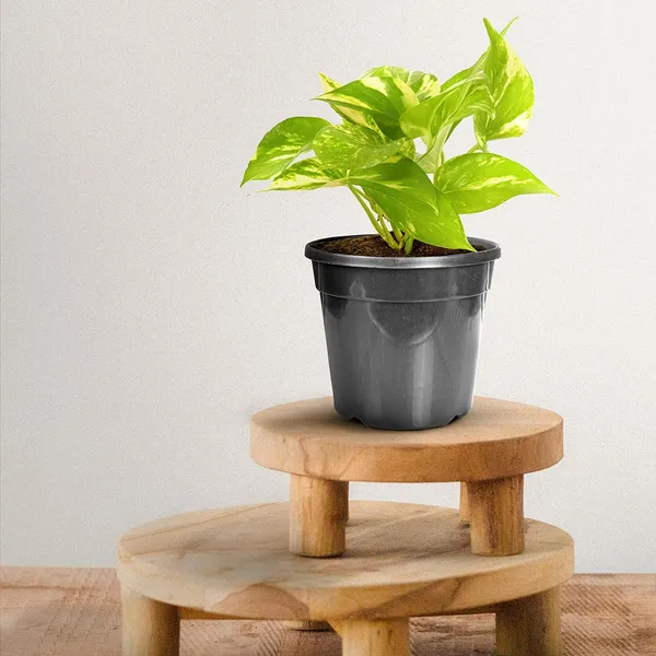 5_5_Inch_14_Cm_Nursery_Planter_Uv_Resistant_Lightweight_Black_Pots_Set_Of_20_Default_Title