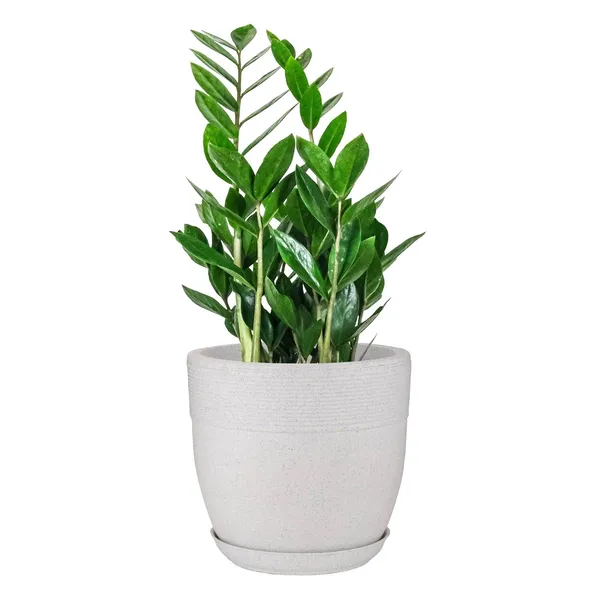 10_Inch_25_Cm_Roto_Moulded_Flower_Pot_With_Tray_White_Marble