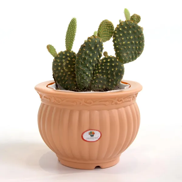 5_Inch_13_Cm_Kanha_Matki_Plastic_Flower_Pots_Set_Of_2_Peach