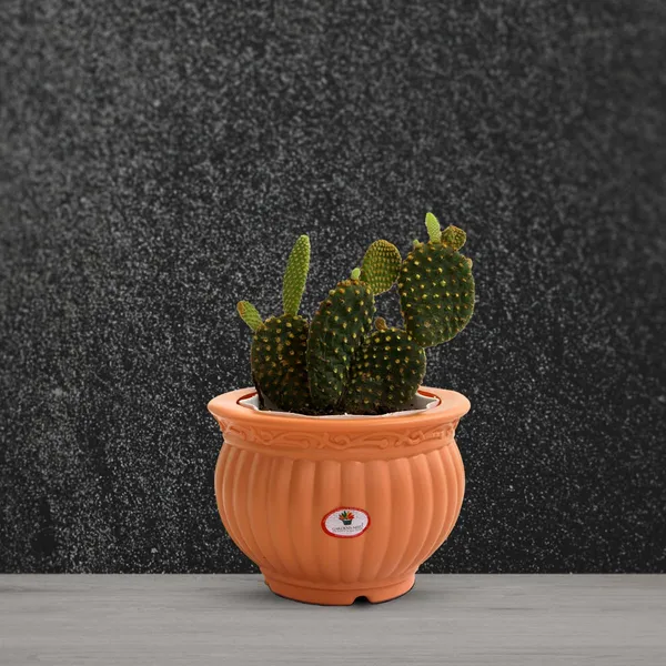 5_Inch_13_Cm_Kanha_Matki_Plastic_Flower_Pots_Set_Of_2_Peach