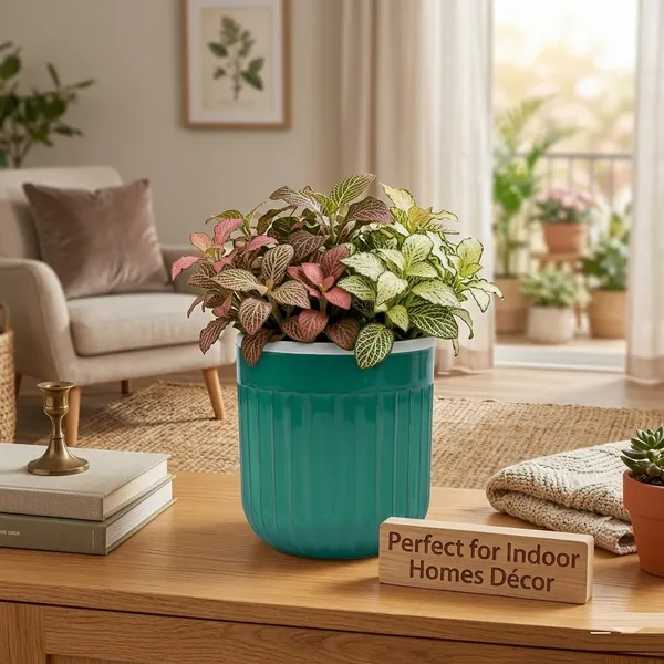Seoul_6_Inch_15_Cm_Transparent_Self_Watering_Pots_With_White_Inserts_Set_Of_2_Orange