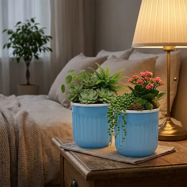 Seoul_6_Inch_15_Cm_Transparent_Self_Watering_Pots_With_White_Inserts_Set_Of_2_Orange