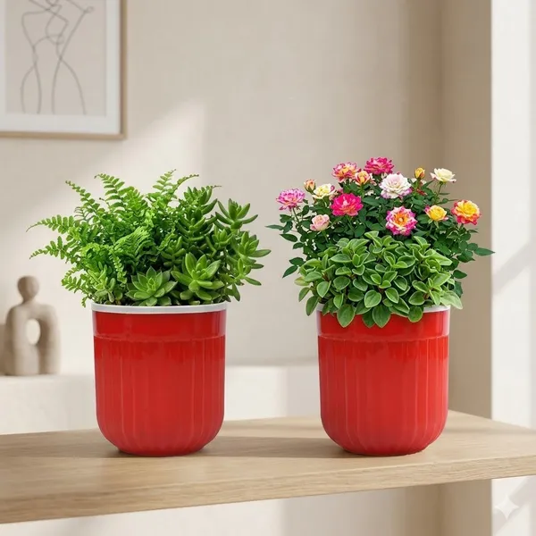 Seoul_6_Inch_15_Cm_Transparent_Self_Watering_Pots_With_White_Inserts_Set_Of_2_Orange