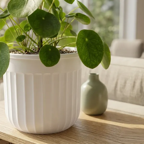 Seoul_6_Inch_15_Cm_Transparent_Self_Watering_Pots_With_White_Inserts_Set_Of_2_Orange