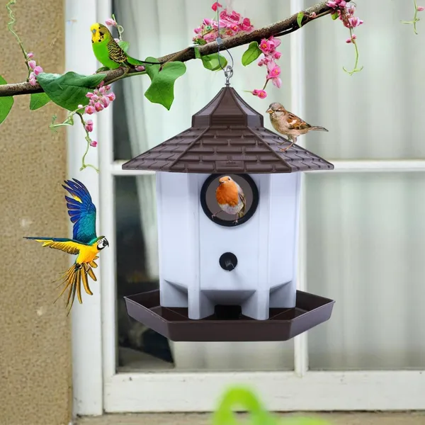 Hut_Shaped_Bird_Feeder_With_Transparent_Grain_Holder_With_Hanging_Wire_Green_Brown