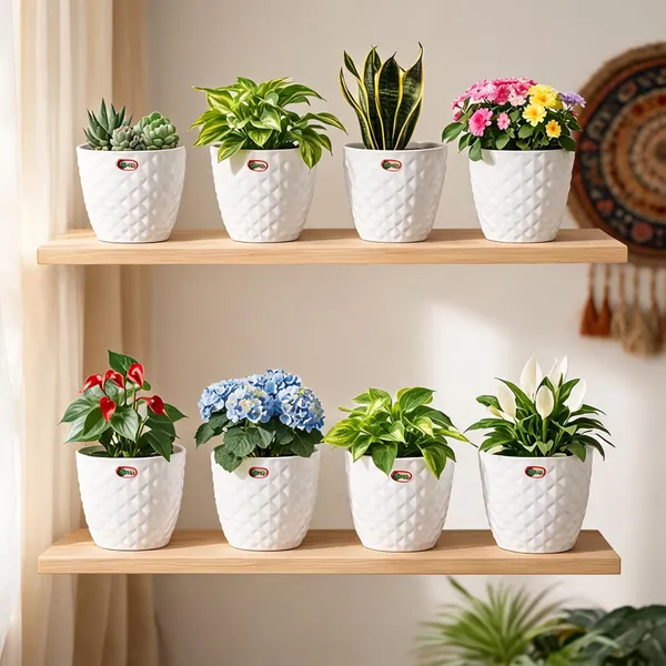 6_Inch_15_Cm_Kohinoor_Round_Planter_Set_Of_8_White_Plastic_Pots_For_Home_Garden_Office_Decor_Default_Title