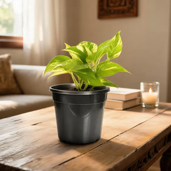5.5_Inch_14_Cm_Nursery_Planter_Uv_Resistant_Lightweight_Black_Pots_Set_Of_20_Default_Title