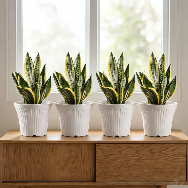 10_Inch_25_Cm_Tancy_Round_Flower_Pots_Set_Of_4_White