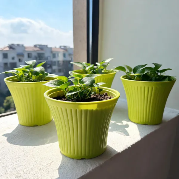 12_Inch_30_Cm_Tancy_Round_Flower_Pots_Set_Of_4_Lemon_Green