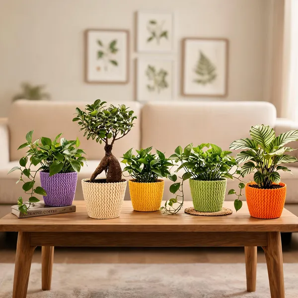 7_Inch_18_Cm_Poppy_Round_Flower_Pots_Set_Of_5_Multicolor_(Combo_pack)