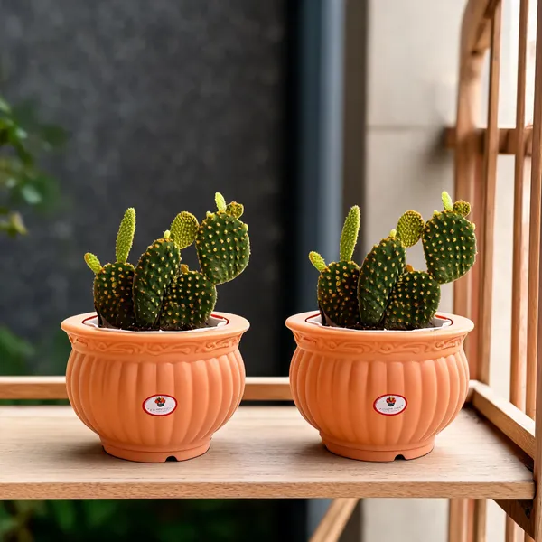 5_Inch_13_Cm_Kanha_Matki_Plastic_Flower_Pots_Set_Of_2_Peach