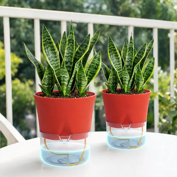 Austin_5_Inch_13_Cm_Round_Plastic_Pot_Set_Set_Of_2_Red