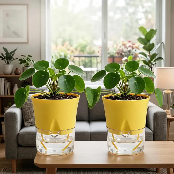 Austin_5_Inch_13_Cm_Round_Plastic_Pot_Set_Set_Of_2_Yellow