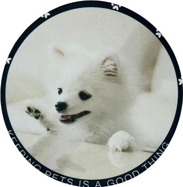 Round_Mouse_Pad_With_Non_Slip_Base