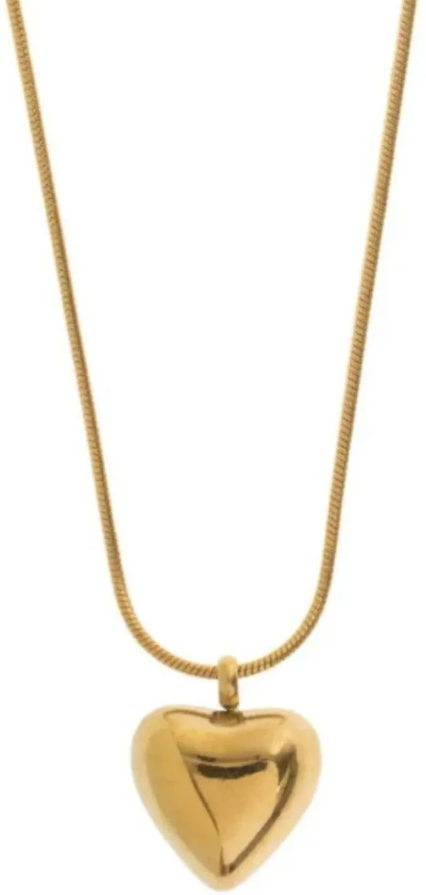 Heart_Pendant_Necklace
