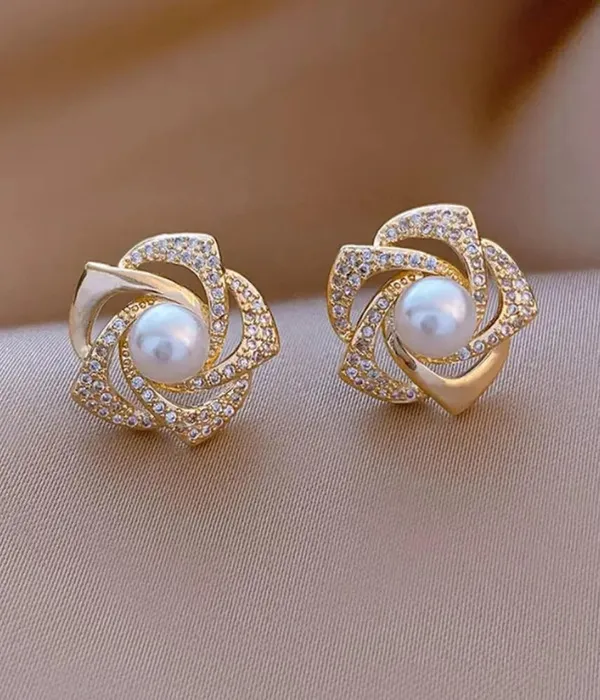 Women_S_Stainless_Steel_Earring_Set
