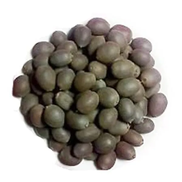 Lotus_Seeds_For_Pooja