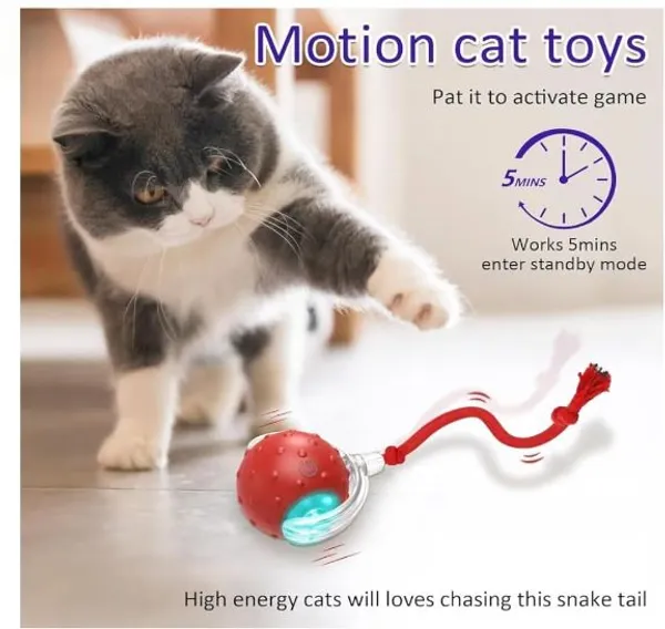 Nkpets_Product_Rolling_Ball_Fiber_Ball,_Fetch_Toy_For_Dog_&_Cat