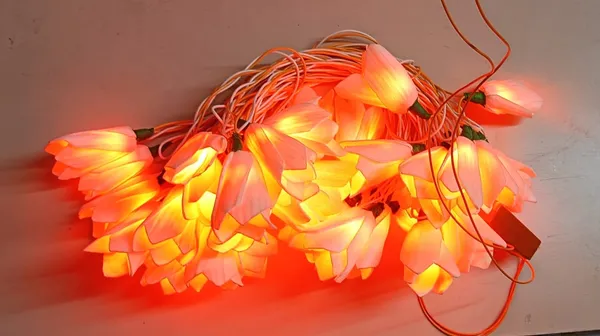 Diwali_Lights_with_shola_Flowers