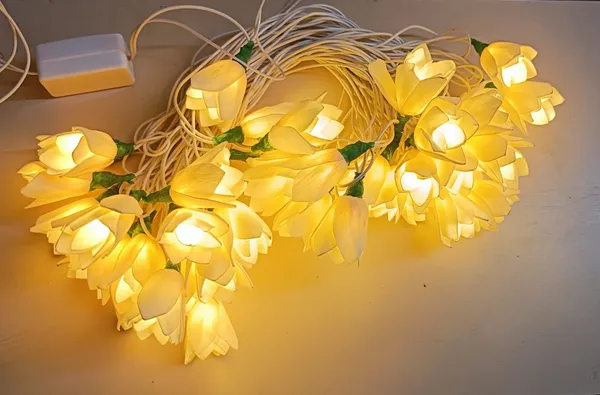 Diwali_Lights_with_shola_Flowers