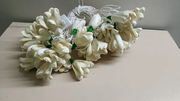 Diwali_Lights_with_shola_Flowers