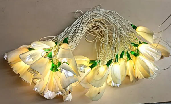 Diwali_Lights_with_shola_Flowers