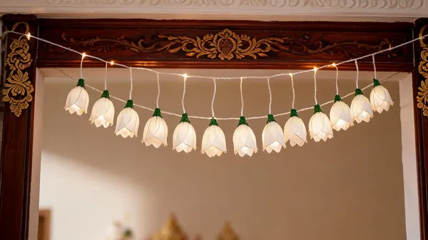 Diwali_Lights_with_shola_Flowers