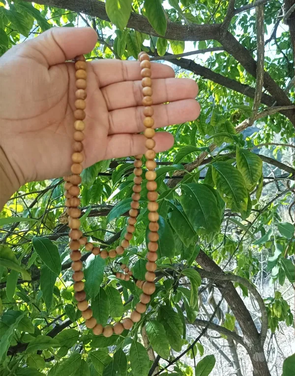 Pure_White_Sandalwood_Mala_(108_Beads)