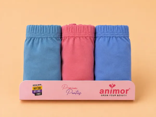 Multicolor_Brief_Panties_Pack_for_Women
