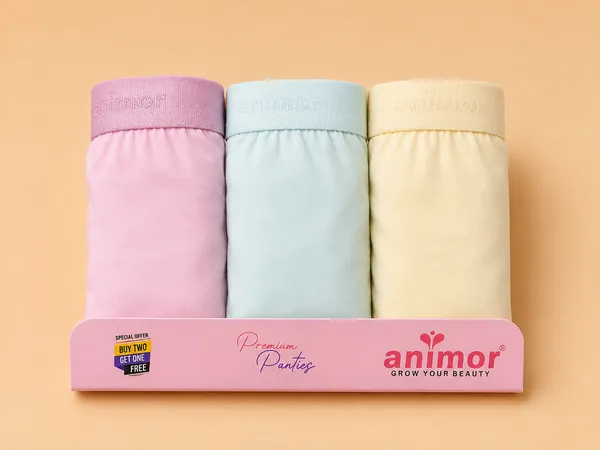 Pastel_Brief_Panties_Pack_for_Women