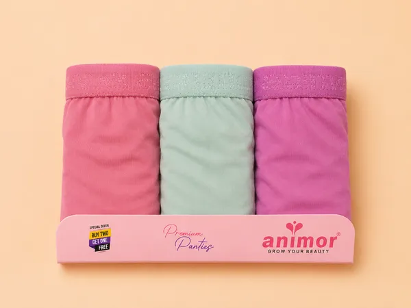 Multicolor_Brief_Panties_for_Women