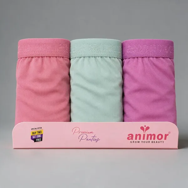 Multicolor_Brief_Panties_For_Women_Pack_Of_3