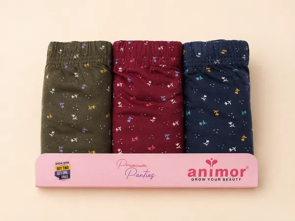 Multicolor_Printed_Regular_Fit_Panties_for_Women