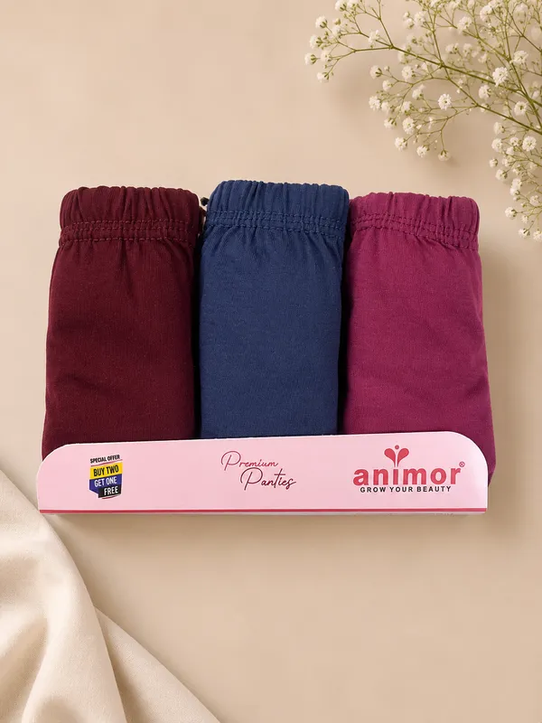Maroon_Blue_Pink_Brief_Style_Panties_Pack_for_Women